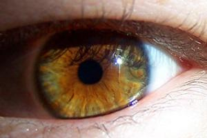 Flickr : Look into my eyes